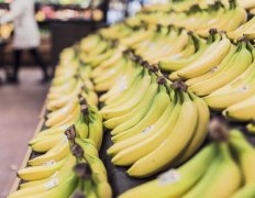 香蕉多少钱一斤？2017香蕉价格行情分析预测