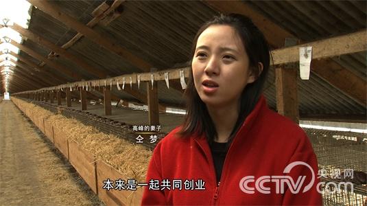 [致富经]哈尔滨高峰留学回国养貂创业四年赚千万