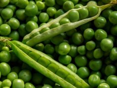 豌豆喜肥特性及施肥时间和方法