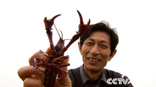 “安徽虾王”王如峰怪病缠身后靠养小龙虾改变命运