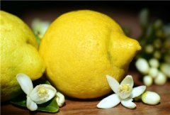 柠檬的种植时间和方法，种植后几年结果？