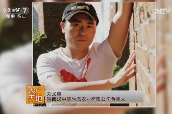 [农广天地]陕西勉县大学生刘义超古法养蜂创财富