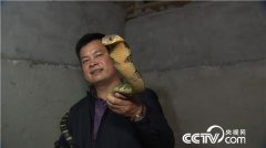 湖南长沙李治国经营农庄靠毒蛇来赚钱