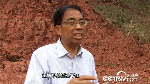 四川厅级官员范敬超退休种柑橘销售额过亿元
