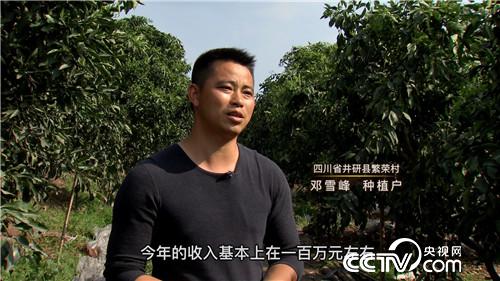 四川厅级官员范敬超退休种柑橘销售额过亿元