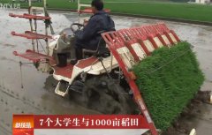 [科技苑]7个大学生怎样种1000亩水稻？