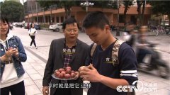 吴昌金和吴德祥种植百香果、橘红 奇怪的果子好赚钱