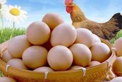 2017年9月郑州鸡蛋价格还能上涨吗