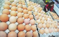 2017年9月山西菜价蛋价上涨