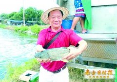 李富林退休转养鱼每年卖鱼收入210万元