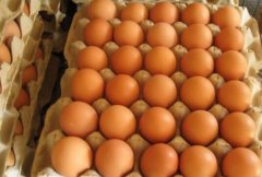 2017年9月新疆乌鲁木齐鸡蛋价格行情走势分析
