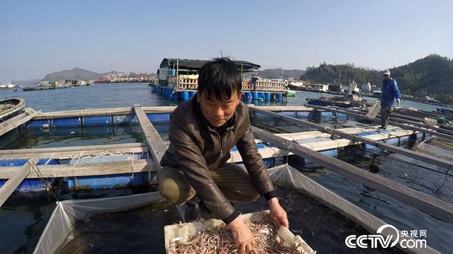 [致富经]吴少波养殖稀奇鱼，一个月要卖300万！