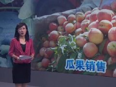 [聚焦三农]今年桃子价格为何这底？瓜果价格为何冰火两重天